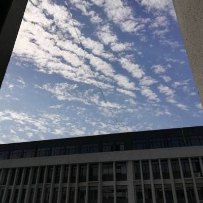 剑笑九州正版百度版下载
